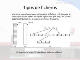 Tipos de ficheros 
el sistema operativo no sabe qué contiene el fichero, ni le interesa; lo único que ve son bytes. Cualquier significado que tenga el fichero deberán atribuírselo los programas en el nivel de usuario. 
(a) Sucesión de bytes. (b) sucesión de registros. (c) Árbol.  