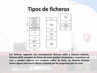 Tipos de ficheros 
Los ficheros regulares son normalmente ficheros ASCII o ficheros binarios. ficheros ASCII consisten en líneas de texto pueden visualizarse e imprimirse tal cual, y pueden editarse con cualquier editor de texto, los ficheros binarios tienen alguna estructura interna conocida por los programas que los usan  