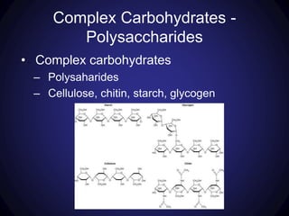 Complex Carbohydrates -
Polysaccharides
• Complex carbohydrates
– Polysaharides
– Cellulose, chitin, starch, glycogen
 