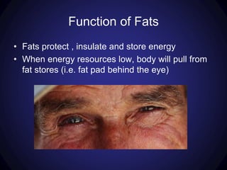 Function of Fats
• Fats protect , insulate and store energy
• When energy resources low, body will pull from
fat stores (i.e. fat pad behind the eye)
 