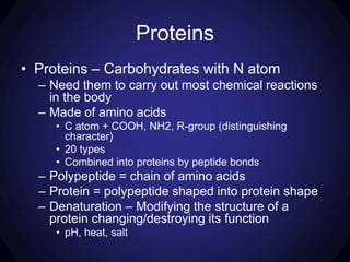 Proteins
• Proteins – Carbohydrates with N atom
– Need them to carry out most chemical reactions
in the body
– Made of amino acids
• C atom + COOH, NH2, R-group (distinguishing
character)
• 20 types
• Combined into proteins by peptide bonds
– Polypeptide = chain of amino acids
– Protein = polypeptide shaped into protein shape
– Denaturation – Modifying the structure of a
protein changing/destroying its function
• pH, heat, salt
 