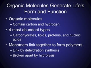Organic Molecules Generate Life’s
Form and Function
• Organic molecules
– Contain carbon and hydrogen
• 4 most abundant types
– Carbohydrates, lipids, proteins, and nucleic
acids
• Monomers link together to form polymers
– Link by dehydration synthesis
– Broken apart by hydrolysis
 