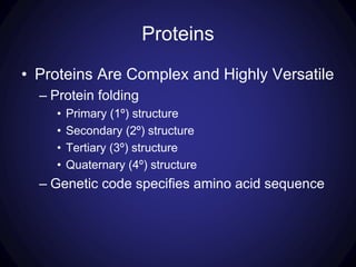 Proteins
• Proteins Are Complex and Highly Versatile
– Protein folding
• Primary (1º) structure
• Secondary (2º) structure
• Tertiary (3º) structure
• Quaternary (4º) structure
– Genetic code specifies amino acid sequence
 