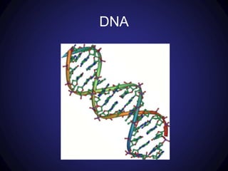 DNA
 
