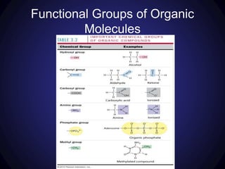 Functional Groups of Organic
Molecules
 