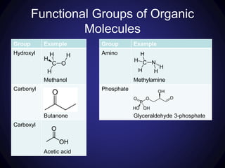Group Example
Hydroxyl
Methanol
Carbonyl
Butanone
Carboxyl
Acetic acid
Functional Groups of Organic
Molecules
Group Example
Amino
Methylamine
Phosphate
Glyceraldehyde 3-phosphate
 