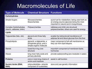 Type of Molecule Chemical Structure Functions
Carbohydrates
Simple Sugars Monosaccharides
Disaccharides
quick fuel for metabolism, being used both as
an energy source (glucose being the most
important in nature) and in biosynthesis
Complex Carbohydrates
(starch, cellulose, chitin)
Polysaccharides cellulose and chitin are structural
polysaccharides; others are used for energy
Lipids
Triglycerides (fats, oils) glycerol and three fatty
acids
enable the bidirectional transference of
adipose fat and blood glucose from the liver
Phospholipids glycerol, a diglyceride, a
phosphate group, and a
simple organic molecule
major component of all cell membranes as
they can form lipid bilayers
Sterols fused four-ring core
structure
important component of membrane lipids;
hormones
Waxes long chain fatty acids and
primary alcohols
provide waterproofing (are insoluble in water)
Proteins one or more long chains of
amino acid residues
assist in cell function
Nucleic Acids (DNA,
RNA)
polynucleotides—strands
composed of nucleotides
store and use genetic information
Macromolecules of Life
 