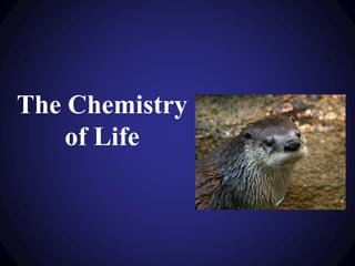 The Chemistry
of Life
 