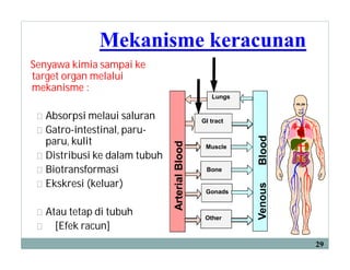 Mekanisme keracunan
Senyawa kimia sampai ke
target organ melalui
mekanisme :
Absorpsi melaui saluran
Gatro-intestinal, paru-
paru, kulit
Distribusi ke dalam tubuh
Biotransformasi
Ekskresi (keluar)
Atau tetap di tubuh
[Efek racun]
ArterialBlood
Lungs
GI tract
Muscle
Bone
Gonads
Other
VenousBlood
29
 