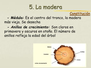5. La madera 
Constitución 
- Médula: Es el centro del tronco, la madera 
más vieja. Se desecha 
- Anillos de crecimiento: Son claros en 
primavera y oscuros en otoño. El número de 
anillos refleja la edad del árbol 
Profesora: Brígida Rojo Seco 
 