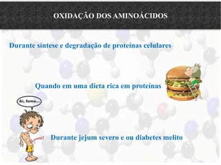 OXIDAÇÃO DOS AMINOÁCIDOS 
Durante síntese e degradação de proteínas celulares 
Quando em uma dieta rica em proteínas 
Durante jejum severo e ou diabetes melito 
 