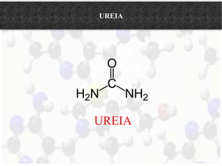 UREIA 
UREIA 
 