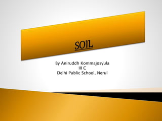By Aniruddh Kommajosyula 
III C 
Delhi Public School, Nerul 
 