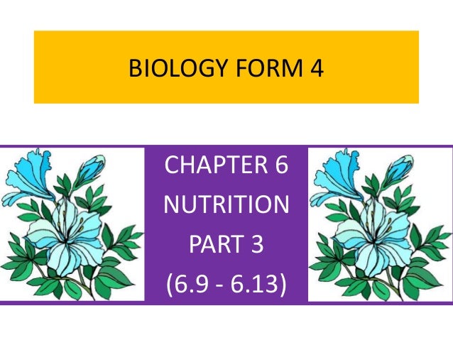 BIOLOGY FORM 4 CHAPTER 6  NUTRITION PART 3
