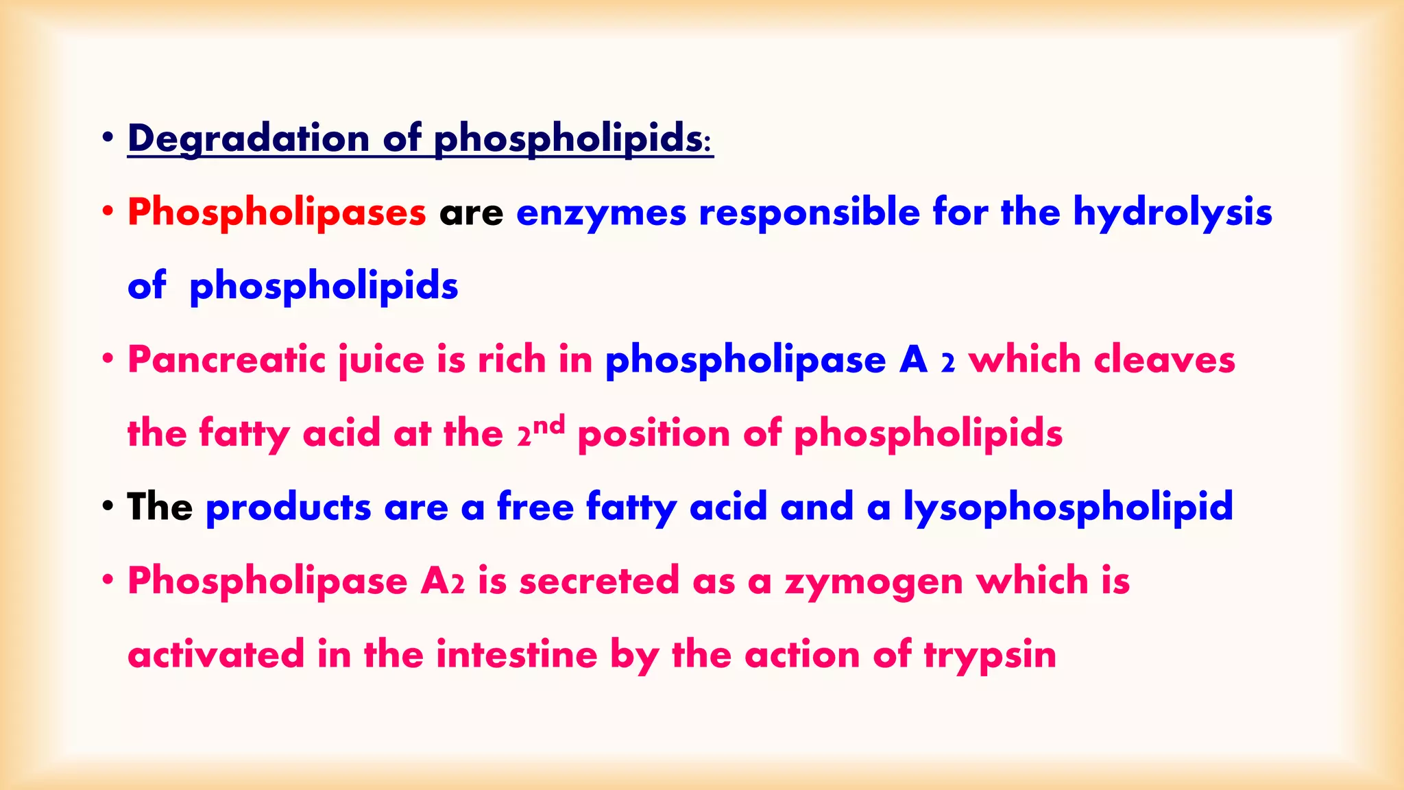 • Degradation of phospholipids: 
• Phospholipases are enzymes responsible for the hydrolysis 
of phospholipids 
• Pancreatic juice is rich in phospholipase A 2 which cleaves 
the fatty acid at the 2nd position of phospholipids 
• The products are a free fatty acid and a lysophospholipid 
• Phospholipase A2 is secreted as a zymogen which is 
activated in the intestine by the action of trypsin 
 
