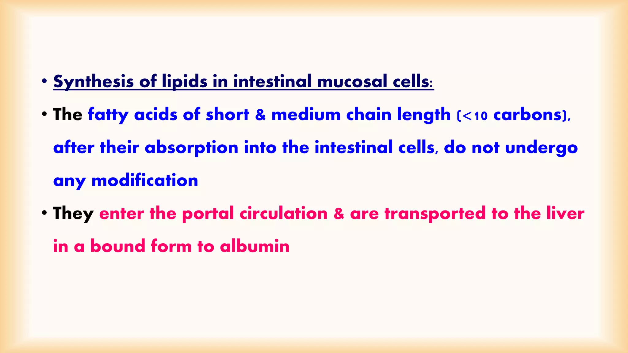 • Synthesis of lipids in intestinal mucosal cells: 
• The fatty acids of short & medium chain length (<10 carbons), 
after their absorption into the intestinal cells, do not undergo 
any modification 
• They enter the portal circulation & are transported to the liver 
in a bound form to albumin 
 