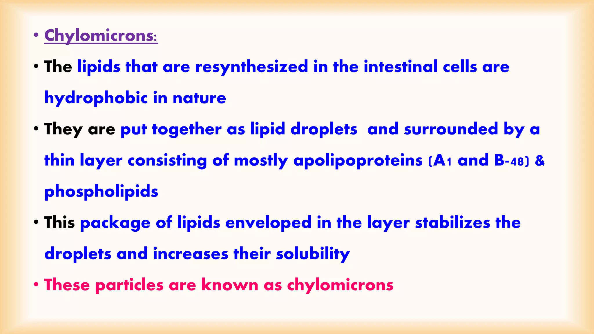 • Chylomicrons: 
• The lipids that are resynthesized in the intestinal cells are 
hydrophobic in nature 
• They are put together as lipid droplets and surrounded by a 
thin layer consisting of mostly apolipoproteins (A1 and B-48) & 
phospholipids 
• This package of lipids enveloped in the layer stabilizes the 
droplets and increases their solubility 
• These particles are known as chylomicrons 
 