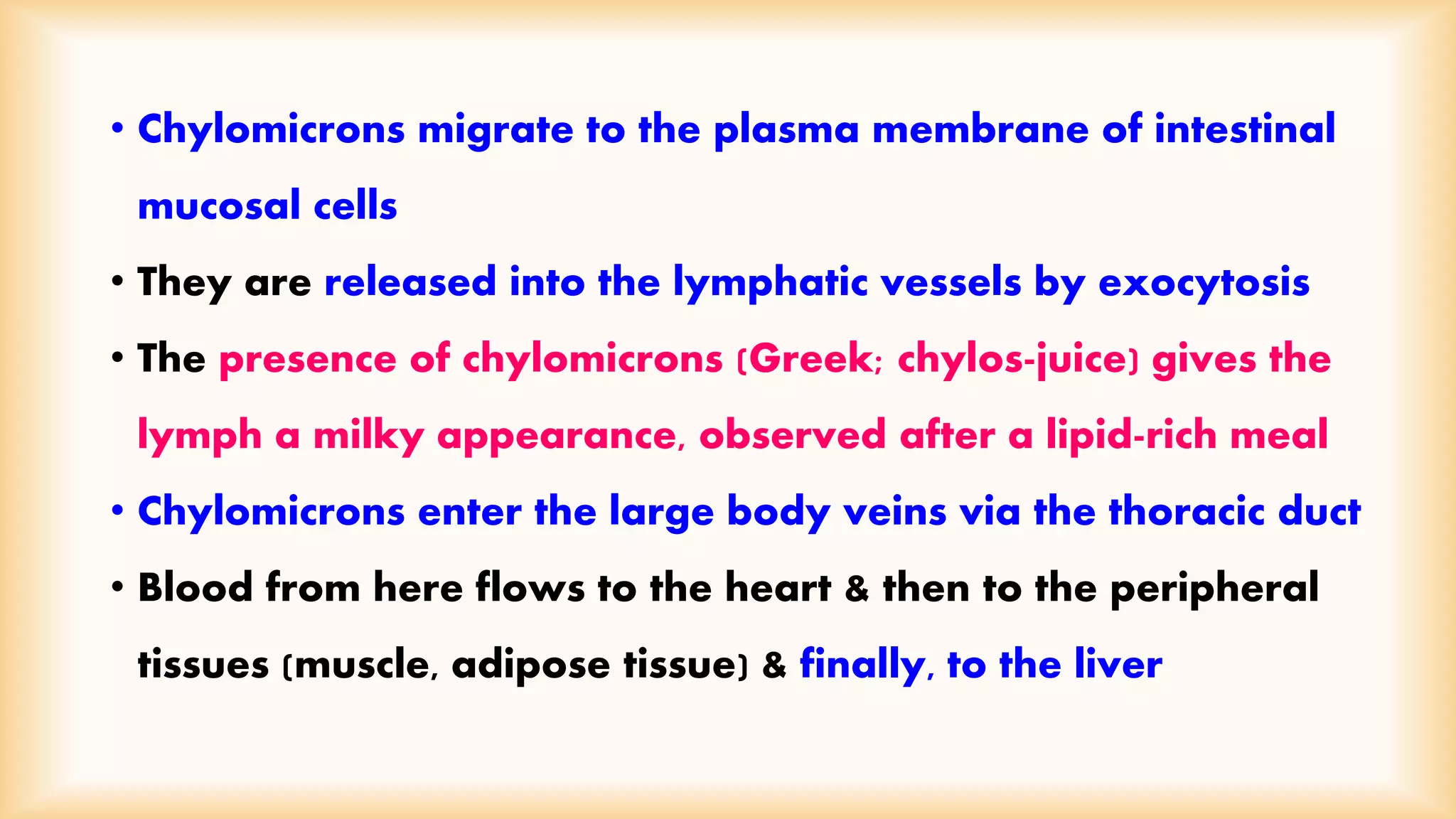 • Chylomicrons migrate to the plasma membrane of intestinal 
mucosal cells 
• They are released into the lymphatic vessels by exocytosis 
• The presence of chylomicrons (Greek; chylos-juice) gives the 
lymph a milky appearance, observed after a lipid-rich meal 
• Chylomicrons enter the large body veins via the thoracic duct 
• Blood from here flows to the heart & then to the peripheral 
tissues (muscle, adipose tissue) & finally, to the liver 
 