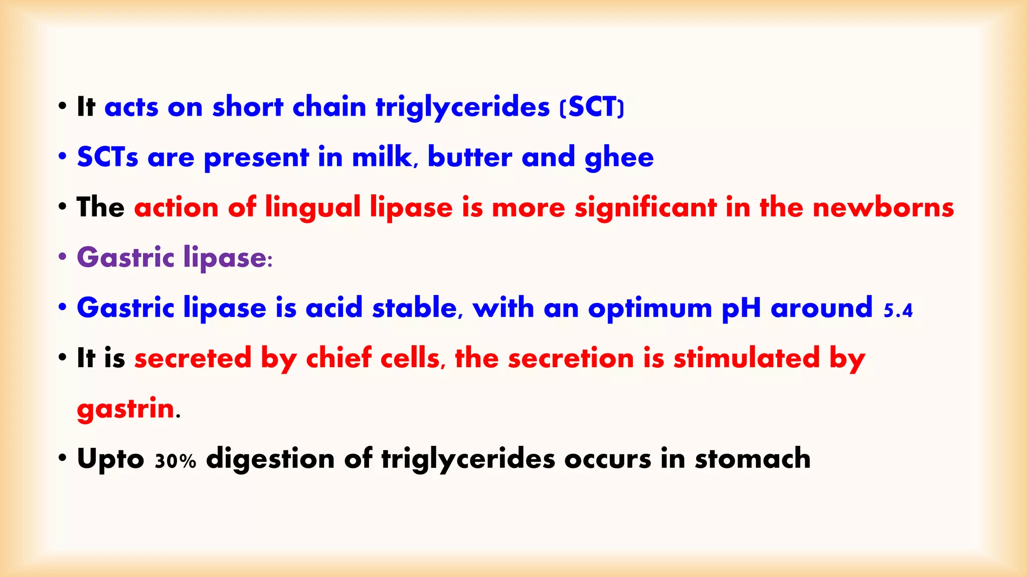 • It acts on short chain triglycerides (SCT) 
• SCTs are present in milk, butter and ghee 
• The action of lingual lipase is more significant in the newborns 
• Gastric lipase: 
• Gastric lipase is acid stable, with an optimum pH around 5.4 
• It is secreted by chief cells, the secretion is stimulated by 
gastrin. 
• Upto 30% digestion of triglycerides occurs in stomach 
 