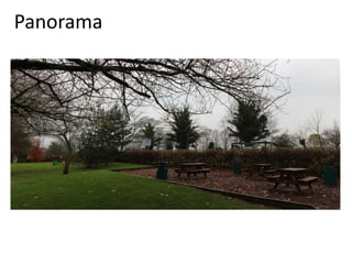 Panorama 
 