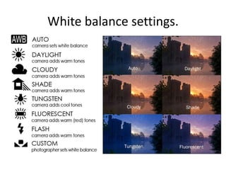 White balance settings. 
 