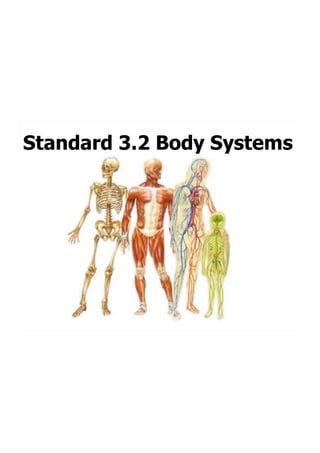 3.2- Body Systems 
