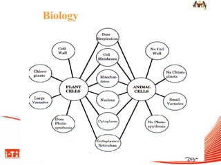 Biology  