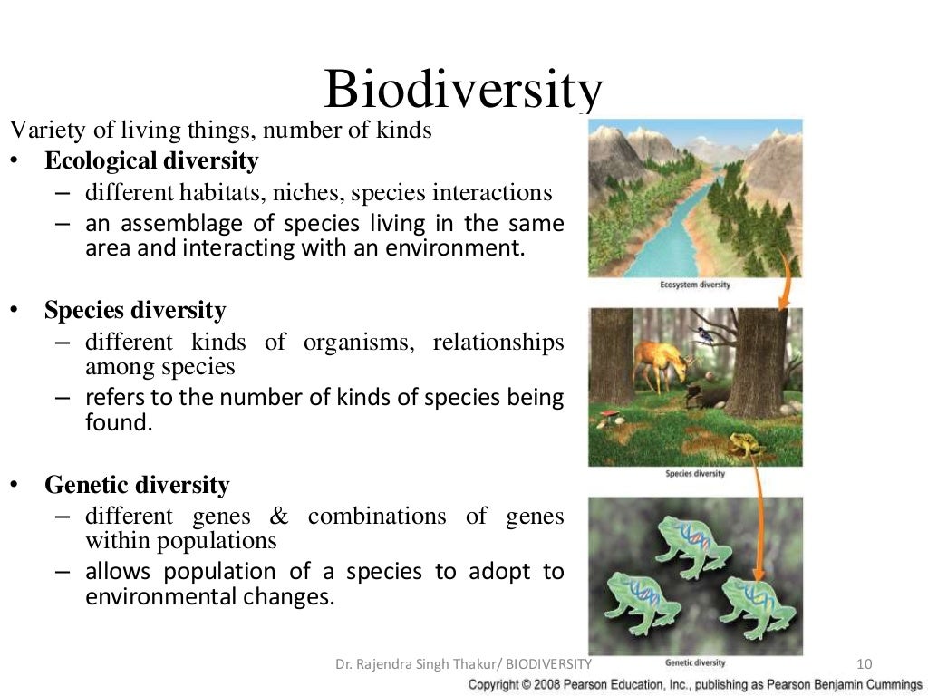 Biodiversity biodiversity