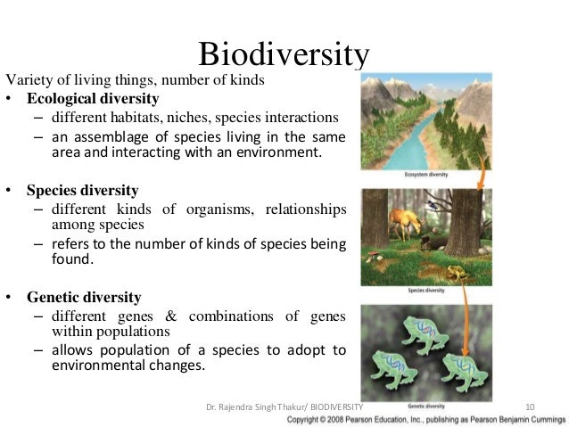 Biodiversity biodiversity
