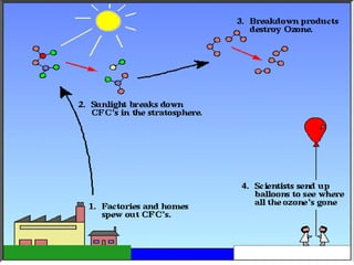 Dr. Rajendra Singh Thakur 64 
 