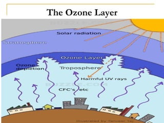 The Ozone Layer 
Dr. Rajendra Singh Thakur 66 
 