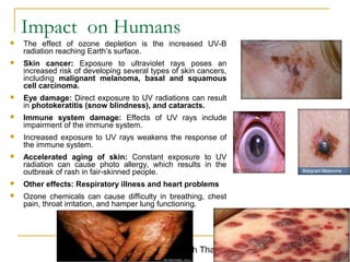Impact on Humans 
 The effect of ozone depletion is the increased UV-B 
radiation reaching Earth’s surface. 
 Skin cancer: Exposure to ultraviolet rays poses an 
increased risk of developing several types of skin cancers, 
including malignant melanoma, basal and squamous 
cell carcinoma. 
 Eye damage: Direct exposure to UV radiations can result 
in photokeratitis (snow blindness), and cataracts. 
 Immune system damage: Effects of UV rays include 
impairment of the immune system. 
 Increased exposure to UV rays weakens the response of 
Dr. Rajendra Singh Thakur 71 
the immune system. 
 Accelerated aging of skin: Constant exposure to UV 
radiation can cause photo allergy, which results in the 
outbreak of rash in fair-skinned people. 
 Other effects: Respiratory illness and heart problems 
 Ozone chemicals can cause difficulty in breathing, chest 
pain, throat irritation, and hamper lung functioning. 
 