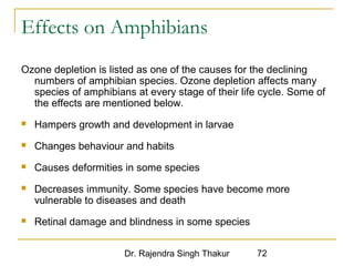 Effects on Amphibians 
Ozone depletion is listed as one of the causes for the declining 
numbers of amphibian species. Ozone depletion affects many 
species of amphibians at every stage of their life cycle. Some of 
the effects are mentioned below. 
 Hampers growth and development in larvae 
 Changes behaviour and habits 
 Causes deformities in some species 
 Decreases immunity. Some species have become more 
vulnerable to diseases and death 
 Retinal damage and blindness in some species 
Dr. Rajendra Singh Thakur 72 
 