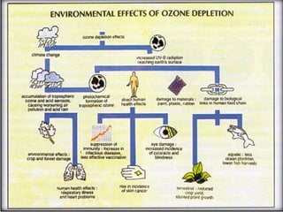 Dr. Rajendra Singh Thakur 76 
 