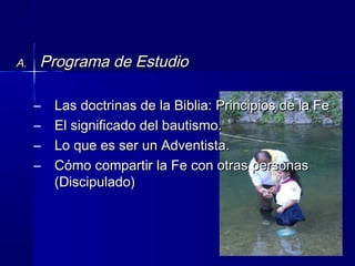 A.A. Programa de EstudioPrograma de Estudio
– Las doctrinas de la Biblia: Principios de la FeLas doctrinas de la Biblia: Principios de la Fe
– El significado del bautismo.El significado del bautismo.
– Lo que es ser un Adventista.Lo que es ser un Adventista.
– Cómo compartir la Fe con otras personasCómo compartir la Fe con otras personas
(Discipulado)(Discipulado)
 