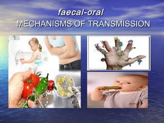 faecal-oralfaecal-oral
MECHANISMS OF TRANSMISSIONMECHANISMS OF TRANSMISSION
 