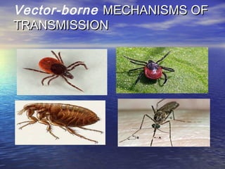 Vector-borne MECHANISMS OFMECHANISMS OF
TRANSMISSIONTRANSMISSION
 