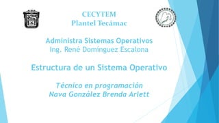 CECYTEM
Plantel Tecámac
Administra Sistemas Operativos
Ing. René Domínguez Escalona
Estructura de un Sistema Operativo
Técnico en programación
Nava González Brenda Arlett
 