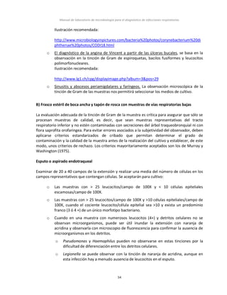 Manual de laboratorio de microbiología para el diagnóstico de infecciones respiratorias
54
Ilustración recomendada:
http://www.microbiologyinpictures.com/bacteria%20photos/corynebacterium%20di
phtheriae%20photos/CODI18.html
o El diagnóstico de la angina de Vincent a partir de las úlceras bucales, se basa en la
observación en la tinción de Gram de espiroquetas, bacilos fusiformes y leucocitos
polimorfonucleares.
Ilustración recomendada:
http://www.lg1.ch/cpg/displayimage.php?album=3&pos=29
o Sinusitis y abscesos periamigdalares y faríngeos. La observación microscópica de la
tinción de Gram de las muestras nos permitirá seleccionar los medios de cultivo.
B) Frasco estéril de boca ancha y tapón de rosca con muestras de vías respiratorias bajas
La evaluación adecuada de la tinción de Gram de la muestra es crítica para asegurar que sólo se
procesan muestras de calidad, es decir, que sean muestras representativas del tracto
respiratorio inferior y no estén contaminadas con secreciones del árbol traqueobronquial ni con
flora saprofita orofaringea. Para evitar errores asociados a la subjetividad del observador, deben
aplicarse criterios estandarizados de cribado que permitan determinar el grado de
contaminación y la calidad de la muestra antes de la realización del cultivo y establecer, de este
modo, unos criterios de rechazo. Los criterios mayoritariamente aceptados son los de Murray y
Washington (1975).
Esputo o aspirado endotraqueal
Examinar de 20 a 40 campos de la extensión y realizar una media del número de células en los
campos representativos que contengan células. Se aceptarán para cultivo:
o Las muestras con > 25 leucocitos/campo de 100X y < 10 células epiteliales
escamosas/campo de 100X.
o Las muestras con > 25 leucocitos/campo de 100X y >10 células epiteliales/campo de
100X, cuando el cociente leucocito/célula epitelial sea >10 y exista un predominio
franco (3 ó 4 +) de un único morfotipo bacteriano.
o Cuando en una muestra con numerosos leucocitos (4+) y detritos celulares no se
observan microorganismos, puede ser útil inundar la extensión con naranja de
acridina y observarla con microscopio de fluorescencia para confirmar la ausencia de
microorganismos en los detritos.
o Pseudomonas y Haemophilus pueden no observarse en estas tinciones por la
dificultad de diferenciación entre los detritos celulares.
o Legionella se puede observar con la tinción de naranja de acridina, aunque en
esta infección hay a menudo ausencia de leucocitos en el esputo.
 