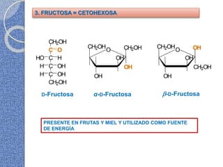 3. FRUCTOSA = CETOHEXOSA
D-Fructosa -D-Fructosaα-D-Fructosa
PRESENTE EN FRUTAS Y MIEL Y UTILIZADO COMO FUENTE
DE ENERGÍA
 