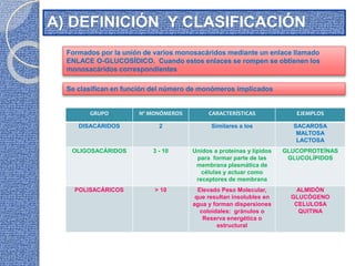 A) DEFINICIÓN Y CLASIFICACIÓN
Formados por la unión de varios monosacáridos mediante un enlace llamado
ENLACE O-GLUCOSÍDICO. Cuando estos enlaces se rompen se obtienen los
monosacáridos correspondientes
Se clasifican en función del número de monómeros implicados
GRUPO Nº MONÓMEROS CARACTERÍSTICAS EJEMPLOS
DISACÁRIDOS 2 Similares a los SACAROSA
MALTOSA
LACTOSA
OLIGOSACÁRIDOS 3 - 10 Unidos a proteínas y lípidos
para formar parte de las
membrana plasmática de
células y actuar como
receptores de membrana
GLUCOPROTEÍNAS
GLUCOLÍPIDOS
POLISACÁRICOS > 10 Elevado Peso Molecular,
que resultan insolubles en
agua y forman dispersiones
coloidales: gránulos o
Reserva energética o
estructural
ALMIDÓN
GLUCÓGENO
CELULOSA
QUITINA
 