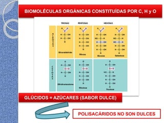 BIOMOLÉCULAS ORGÁNICAS CONSTITUÍDAS POR C, H y O
GLÚCIDOS = AZÚCARES (SABOR DULCE)
POLISACÁRIDOS NO SON DULCES
 
