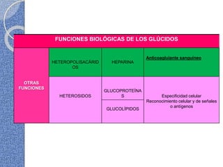 FUNCIONES BIOLÓGICAS DE LOS GLÚCIDOS
OTRAS
FUNCIONES
HETEROPOLISACÁRID
OS
HEPARINA
Anticoaglulante sanguíneo
HETEROSIDOS
GLUCOPROTEÍNA
S Especificidad celular
Reconocimiento celular y de señales
o antígenos
GLUCOLÍPIDOS
 