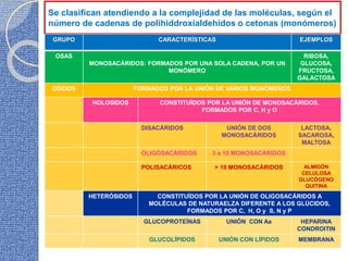 Se clasifican atendiendo a la complejidad de las moléculas, según el
número de cadenas de polihiddroxialdehídos o cetonas (monómeros)
GRUPO CARACTERÍSTICAS EJEMPLOS
OSAS
MONOSACÁRIDOS: FORMADOS POR UNA SOLA CADENA, POR UN
MONÓMERO
RIBOSA,
GLUCOSA,
FRUCTOSA,
GALACTOSA
OSIDOS FORMADOS POR LA UNIÓN DE VARIOS MONÓMEROS
HOLOSIDOS CONSTITUÍDOS POR LA UNIÓN DE MONOSACÁRIDOS,
FORMADOS POR C, H y O
DISACÁRIDOS UNIÓN DE DOS
MONOSACÁRIDOS
LACTOSA,
SACAROSA,
MALTOSA
OLIGOSACÁRIDOS 3 a 10 MONOSACÁRIDOS
POLISACÁRICOS > 10 MONOSACÁRIDOS ALMIDÓN
CELULOSA
GLUCÓGENO
QUITINA
HETERÓSIDOS CONSTITUÍDOS POR LA UNIÓN DE OLIGOSACÁRIDOS A
MOLÉCULAS DE NATURAELZA DIFERENTE A LOS GLÚCIDOS,
FORMADOS POR C, H, O y S, N y P
GLUCOPROTEÍNAS UNIÓN CON Aa HEPARINA
CONDROITIN
GLUCOLÍPIDOS UNIÓN CON LÍPIDOS MEMBRANA
 