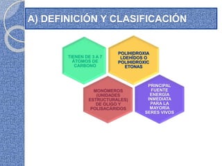POLIHIDROXIA
LDEHÍDOS O
POLIHIDROXIC
ETONAS
TIENEN DE 3 A 7
ÁTOMOS DE
CARBONO
PRINCIPAL
FUENTE
ENERGÍA
INMEDIATA
PARA LA
MAYORÍA
SERES VIVOS
MONÓMEROS
(UNIDADES
ESTRUCTURALES)
DE OLIGO Y
POLISACÁRIDOS
A) DEFINICIÓN Y CLASIFICACIÓN
 