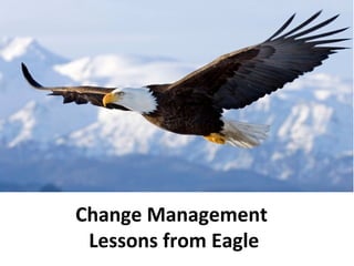 Change Management
Lessons from Eagle
 