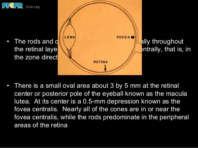 Seroquel what does it do pupils small