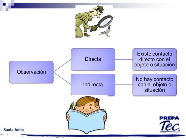 3. observacion