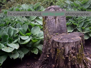 I’m currently a local, not-for-profit photographer.
Photograph by Felicity Mills
 