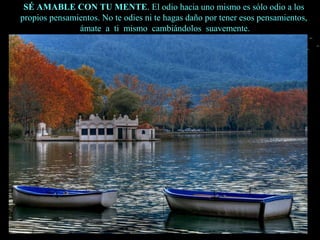 SÉ AMABLE CON TU MENTESÉ AMABLE CON TU MENTE. El odio hacia uno mismo es sólo odio a los. El odio hacia uno mismo es sólo odio a los
propios pensamientos. No te odies ni te hagas daño por tener esos pensamientos,propios pensamientos. No te odies ni te hagas daño por tener esos pensamientos,
ámate a ti mismo cambiándolos suavemente.ámate a ti mismo cambiándolos suavemente.
 